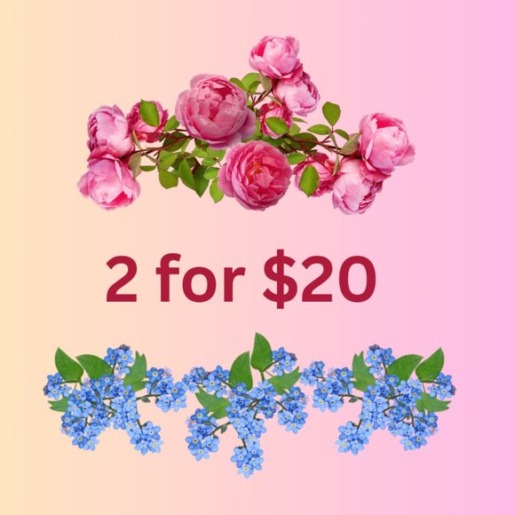 2 for $20 SALE❤️ Leopard Print Bikini - Picture 6 of 7